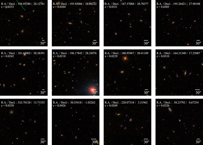 Figure 17. Refer to the following caption and surrounding text.