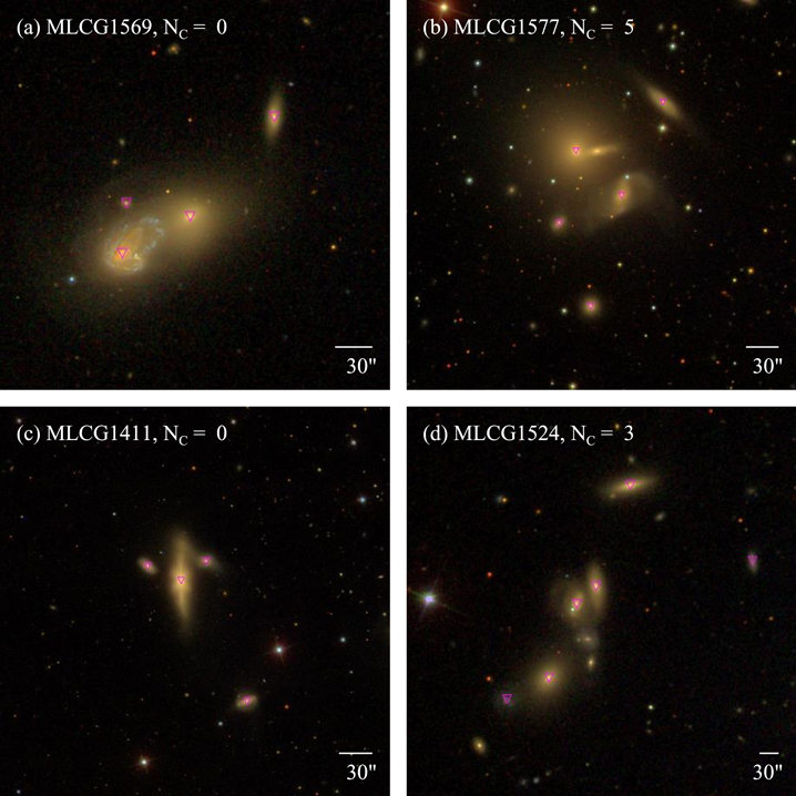 Figure 6. Refer to the following caption and surrounding text.