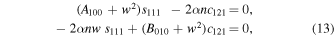 Equation (13)