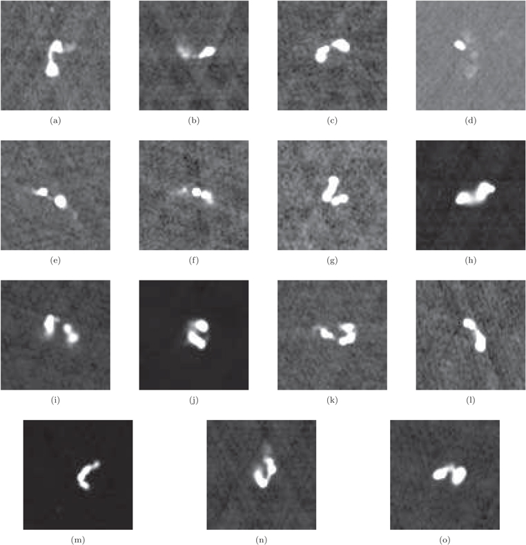 Classifying Radio Galaxies with the Convolutional Neural Network ...