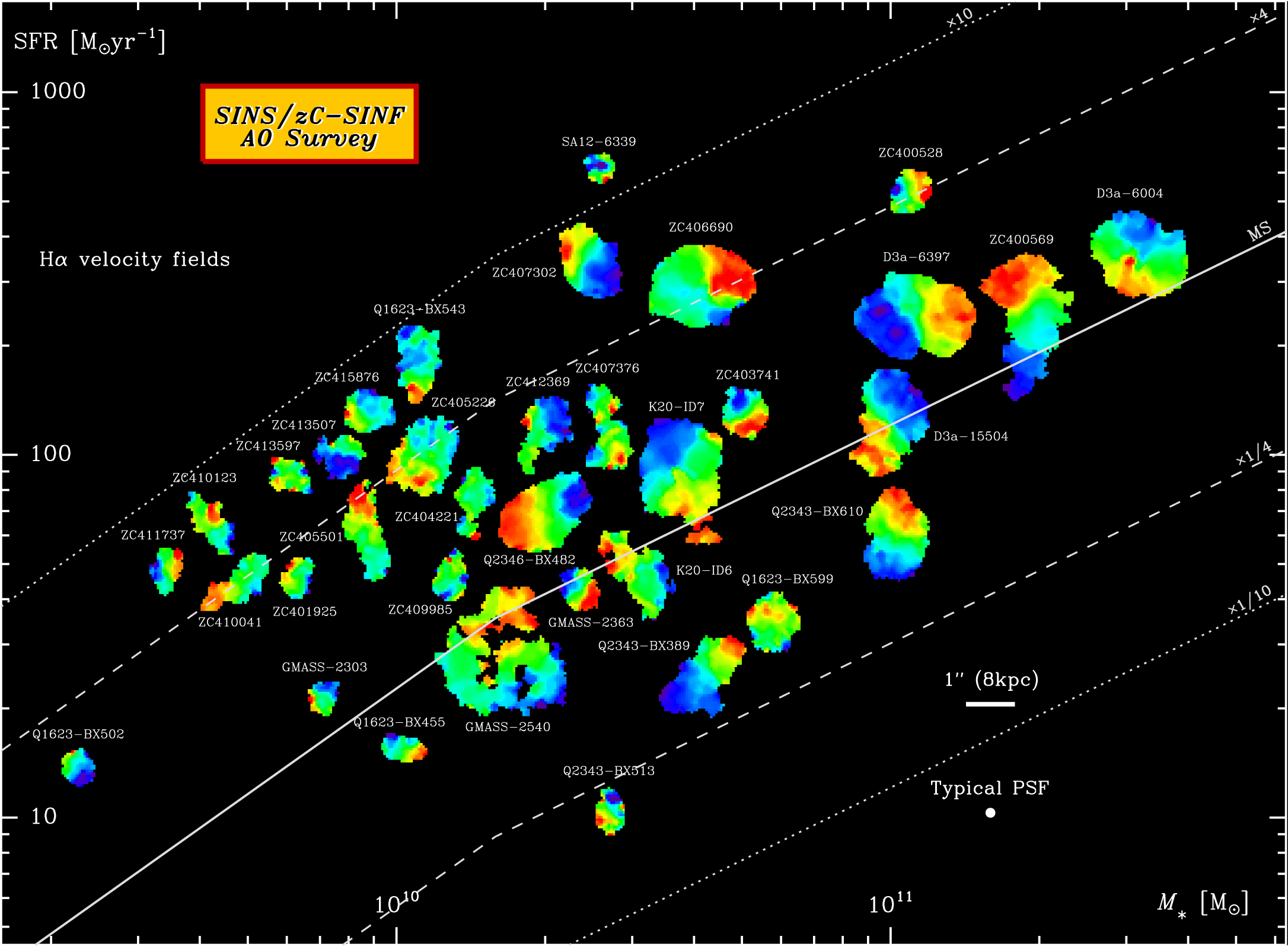 The SINS/zC-SINF Survey of z ∼ 2 Galaxy Kinematics: SINFONI
