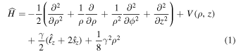 Equation (1)