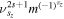 ${\nu }_{{s}_{z}}^{2s+1}{m}^{{(-1)}^{{\pi }_{z}}}$