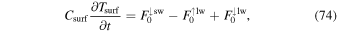 Equation (74)