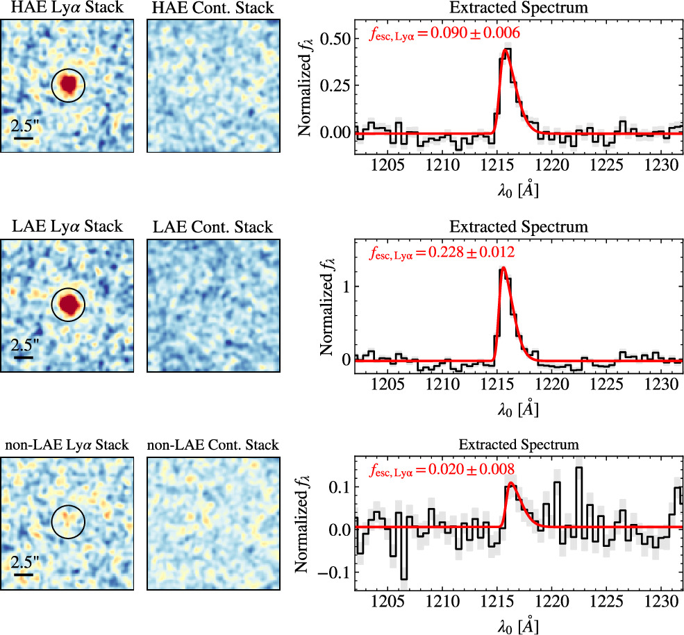 Quantifying the Escape of Lyα at z ≈ 5–6: A Census of Lyα Escape