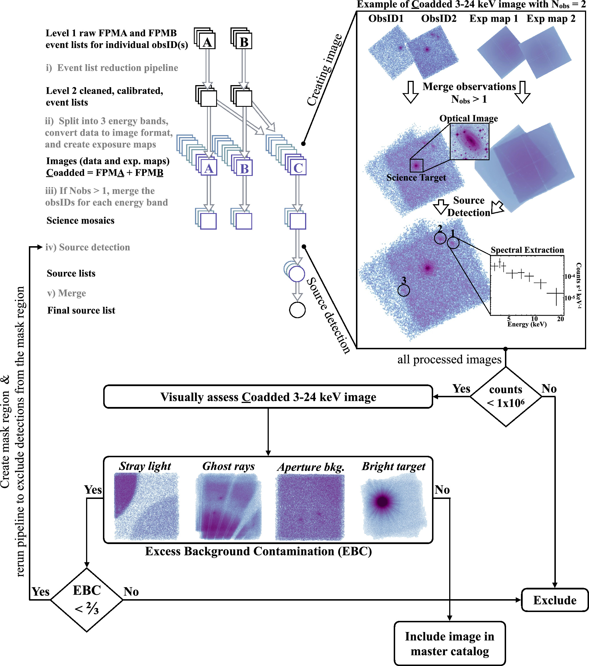 Figure 3. Refer to the following caption and surrounding text.