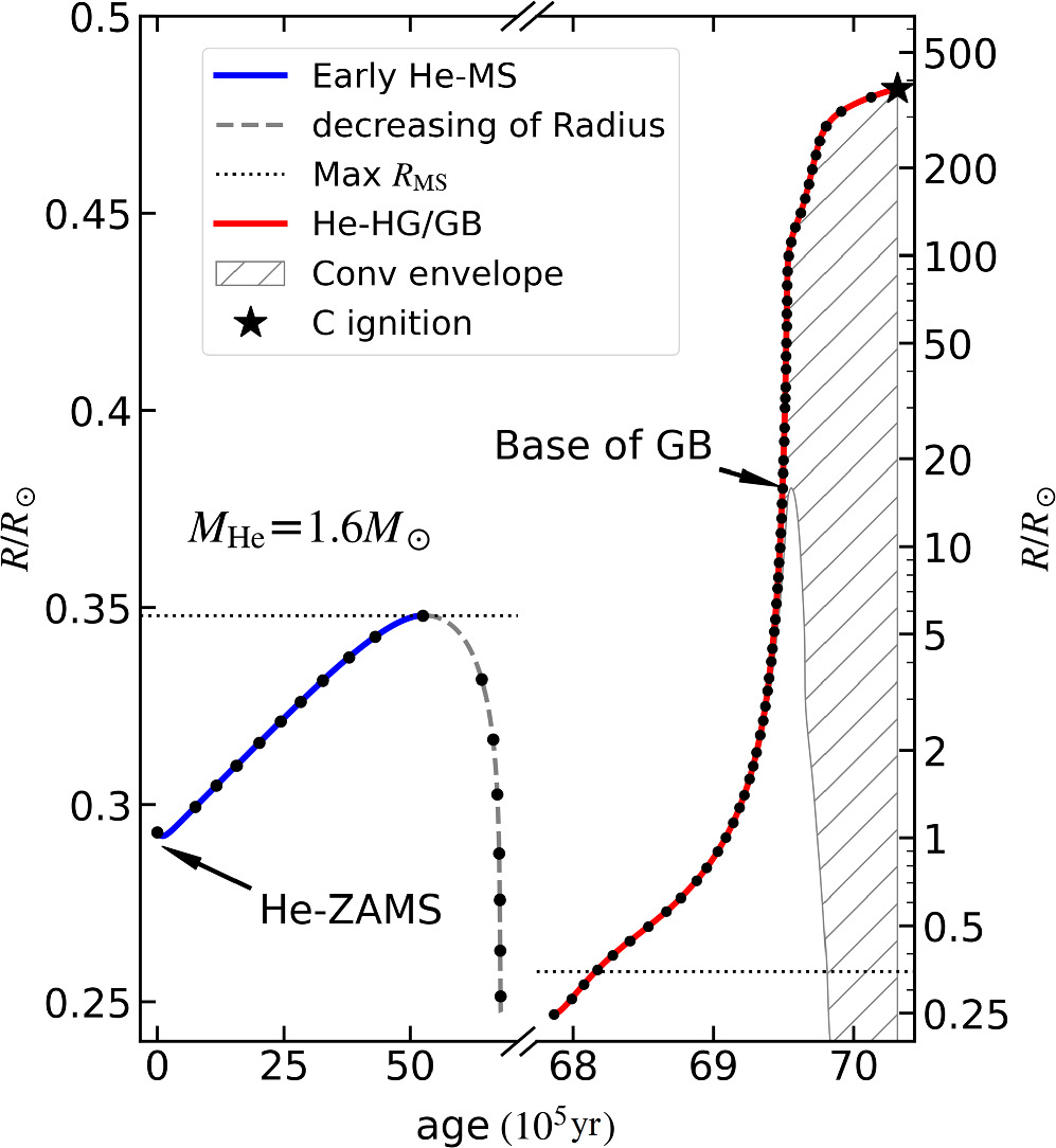 Adiabatic Mass Loss in Binary Stars. IV. Low- and Intermediate-mass ...