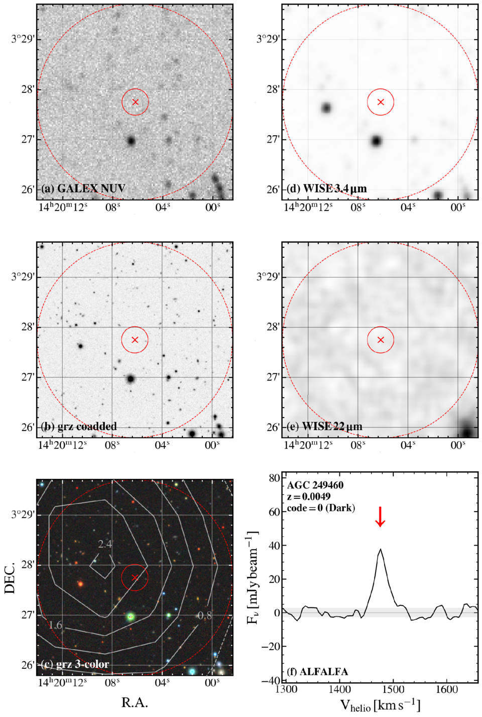 Searching for Dark Galaxies with H I Detection from the Arecibo Legacy ...