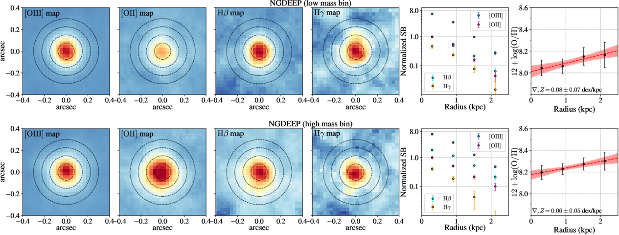 A 13 Billion Year View of Galaxy Growth: Metallicity Gradient