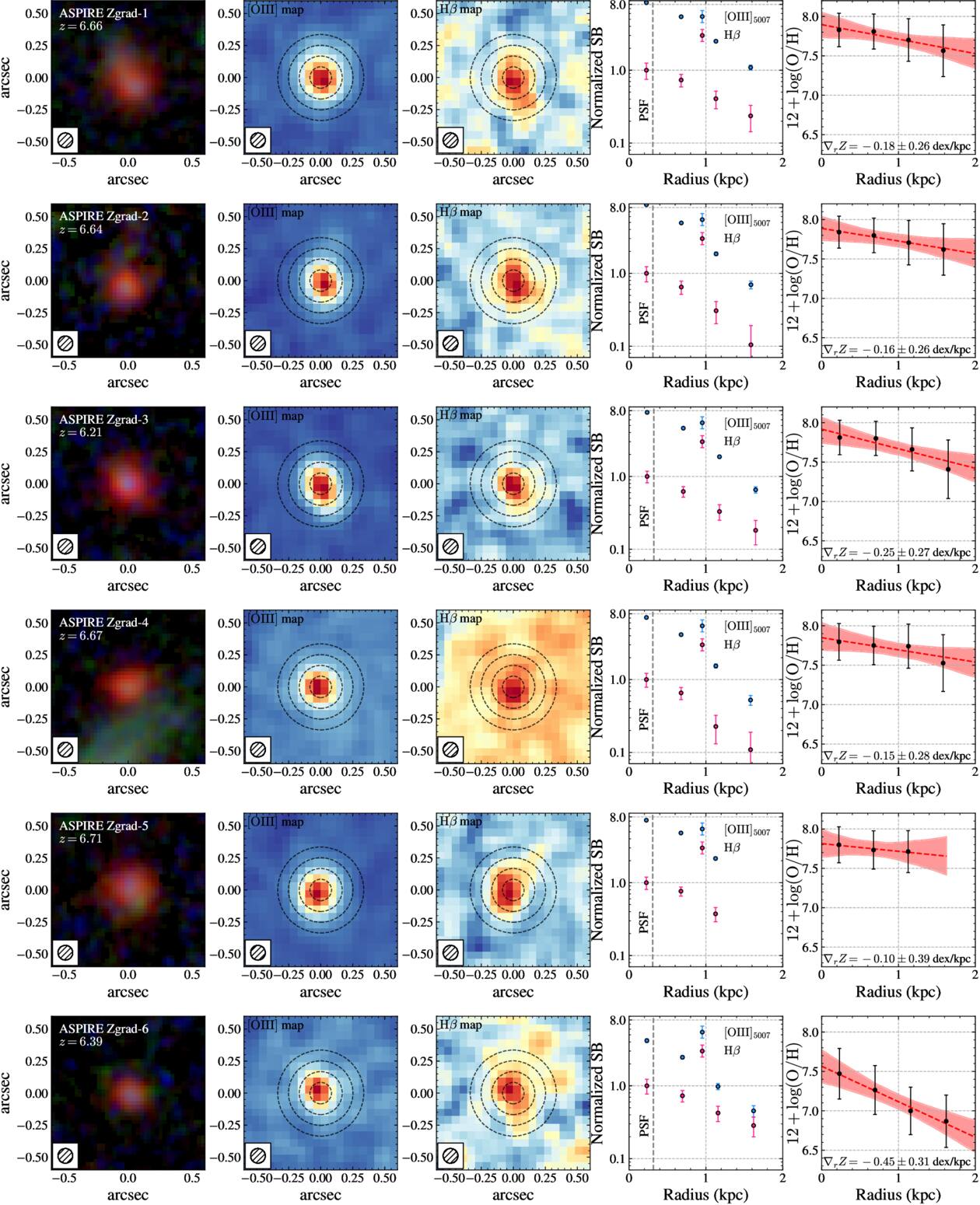A 13 Billion Year View of Galaxy Growth: Metallicity Gradient
