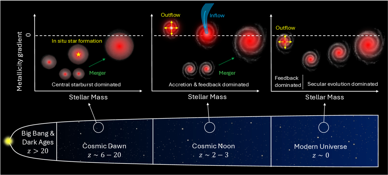 A 13 Billion Year View of Galaxy Growth: Metallicity Gradient