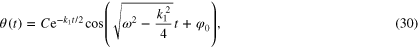 Equation (30)