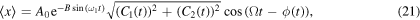 Equation (21)