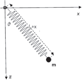 On the elastic pendulum, parametric resonance and ‘pumping’ swings ...