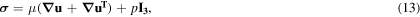 Equation (13)