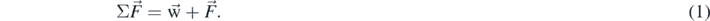 Equation (1)