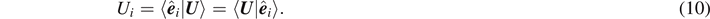 Equation (10)