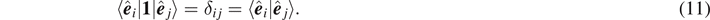 Equation (11)