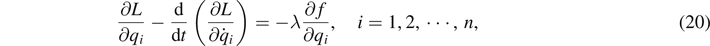 Equation (20)