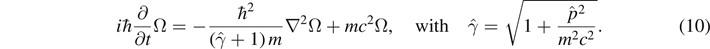 Equation (10)