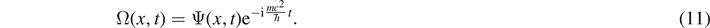 Equation (11)