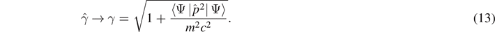 Equation (13)