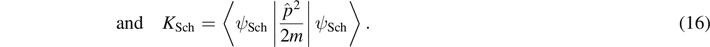 Equation (16)