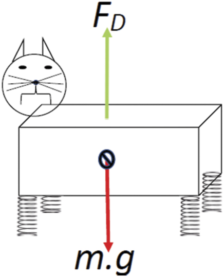 Cat Gravity Testing The mechanics of a cat landing from a drop - IOPscience