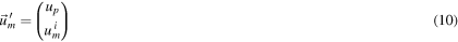 Equation (10)