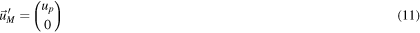 Equation (11)