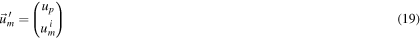 Equation (19)