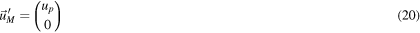 Equation (20)