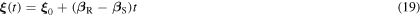 Equation (19)
