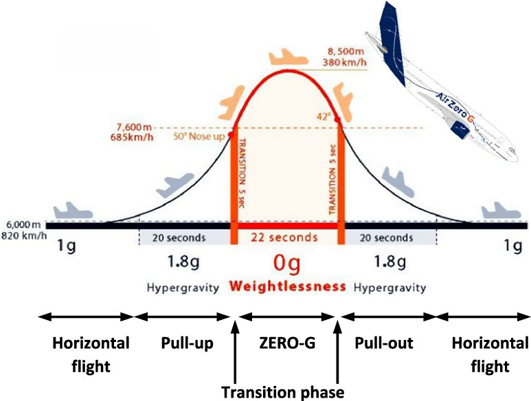Acceleration inside an aircraft in parabolic flight - IOPscience