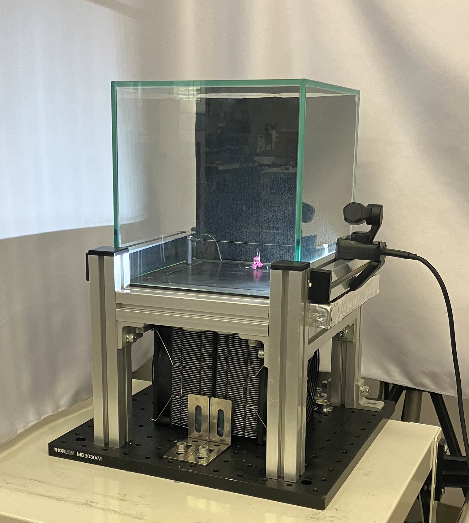 Real-time particle visualization in an electric-cooled cloud chamber ...