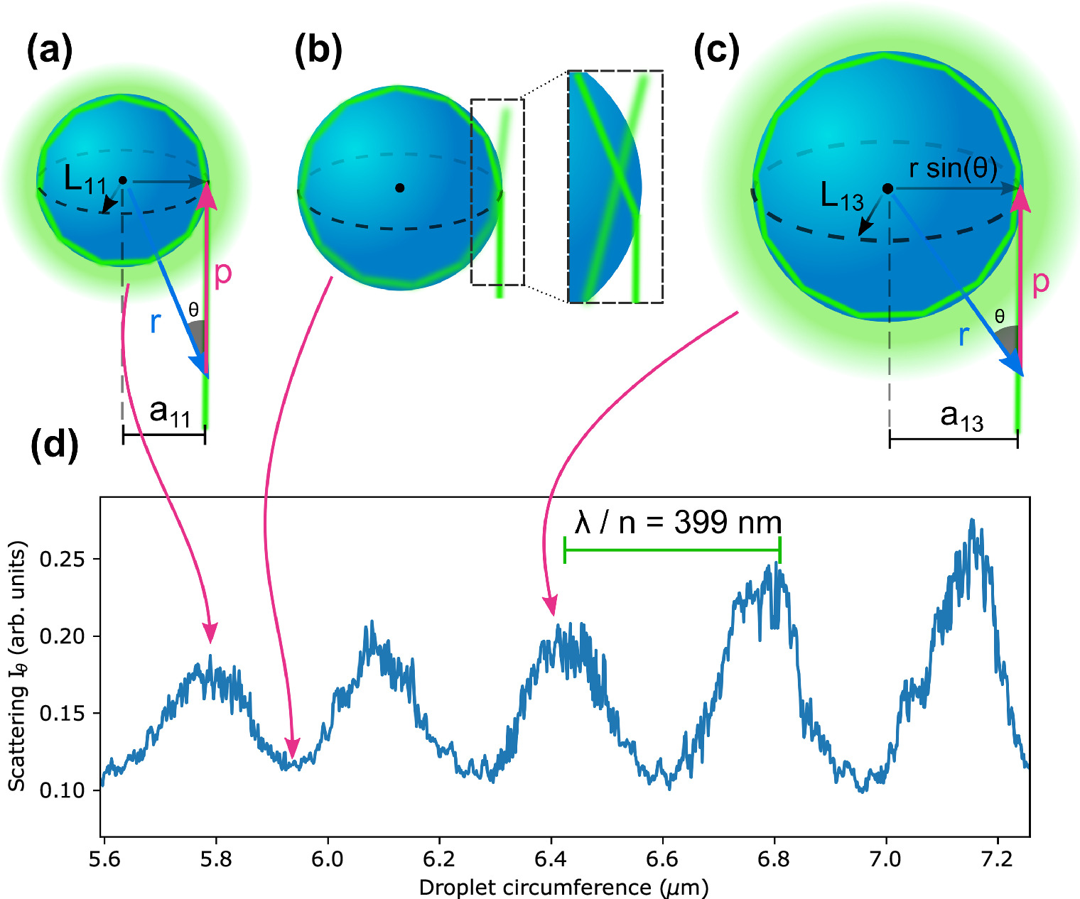 Shining light on quantum phenomena through a levitated water droplet ...