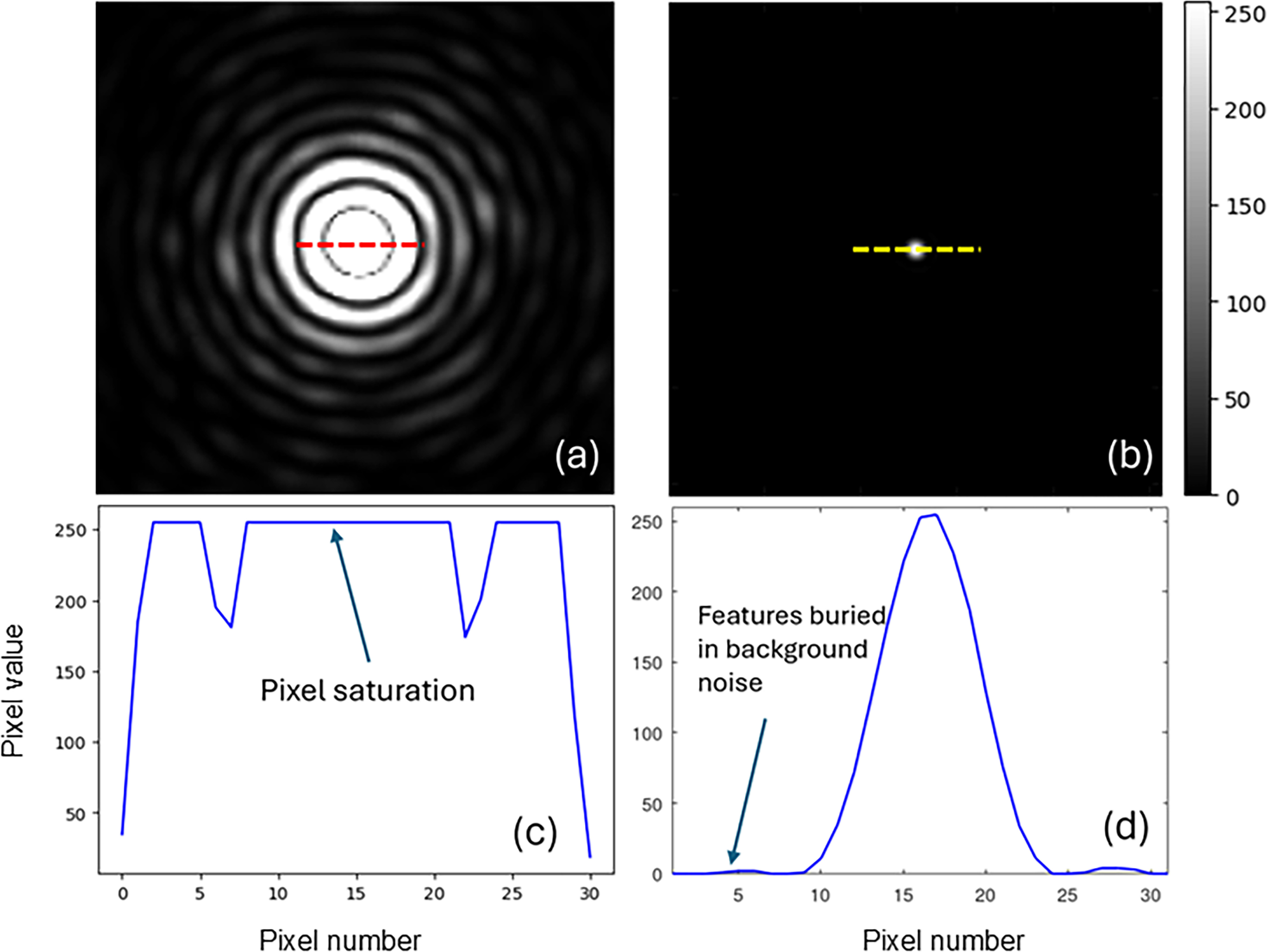 Observation of high dynamic range diffraction patterns with low-cost ...