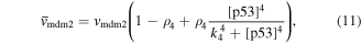 Equation (11)