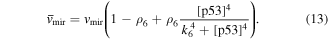 Equation (13)