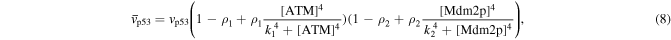 Equation (8)