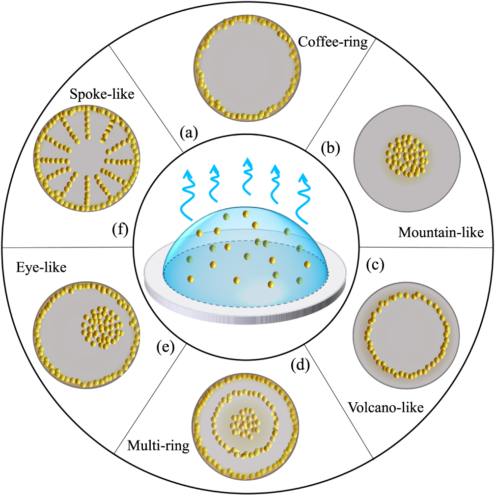 Deposition pattern of drying droplets - IOPscience