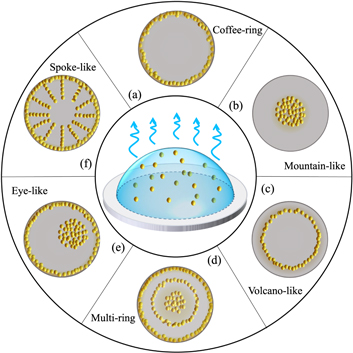 Deposition pattern of drying droplets - IOPscience