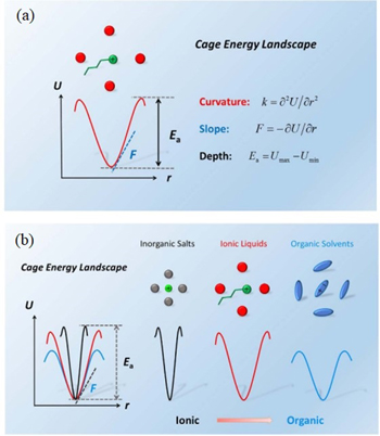 Phase behaviors of ionic liquids attributed to the dual ionic and ...