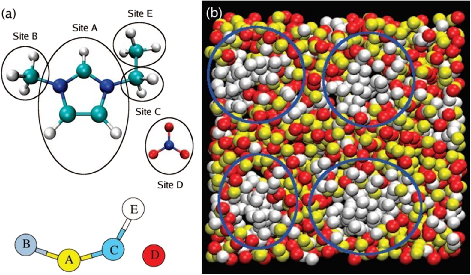 Phase behaviors of ionic liquids attributed to the dual ionic and ...