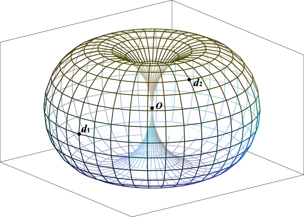 Theory of an m × n apple surface network with special boundary - IOPscience