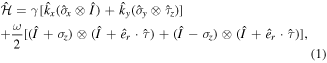 Equation (1)