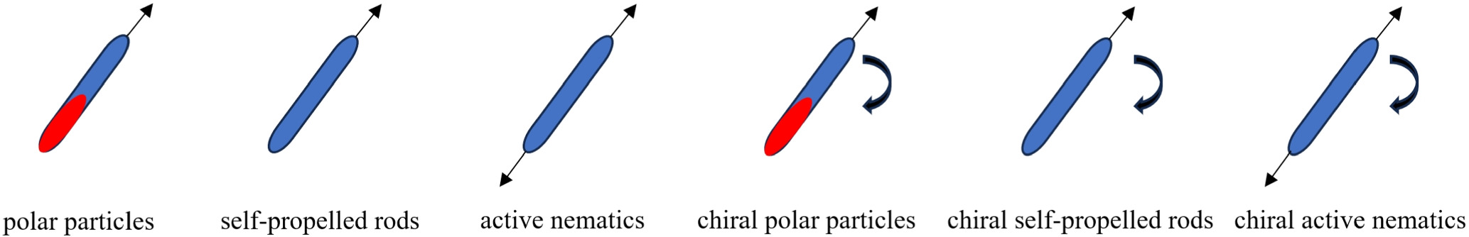 Characteristics of phase transitions in dry aligning active matter ...
