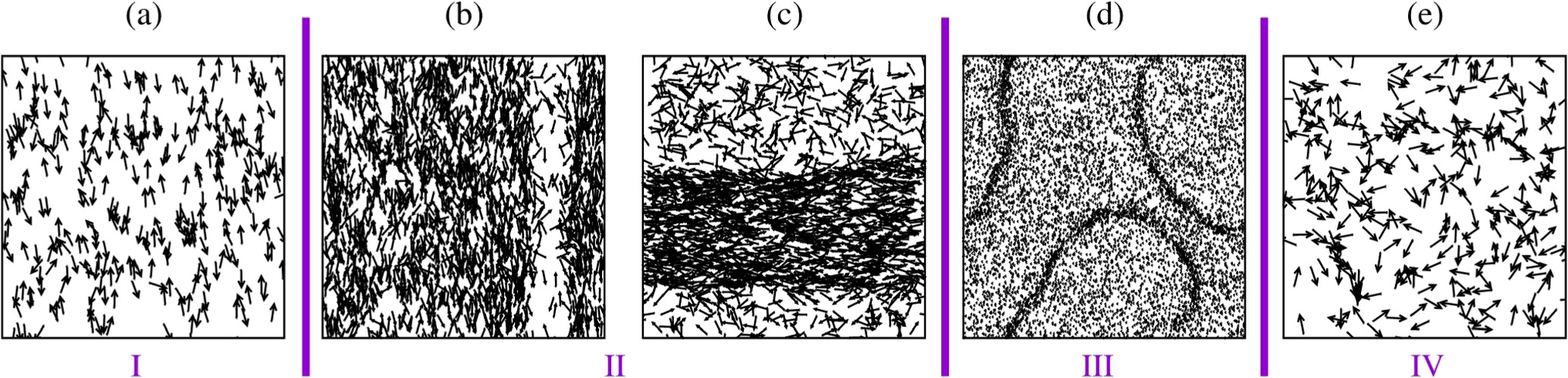Characteristics of phase transitions in dry aligning active matter ...