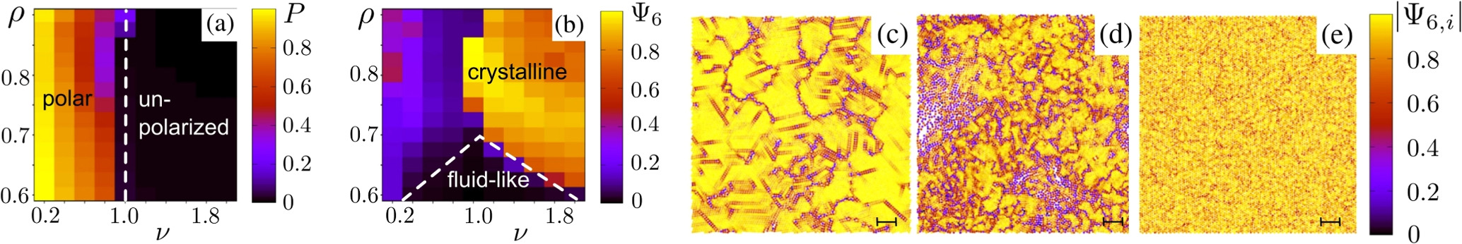 Characteristics of phase transitions in dry aligning active matter ...