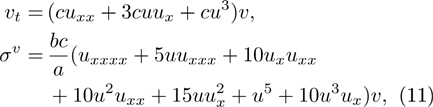 Equation (11)
